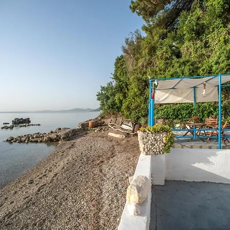 公寓 Agistri By The Sea 帕拉马